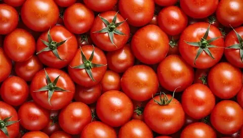 تصویر 4 از گوجه فرنگی تازه مصرف خام سالاد